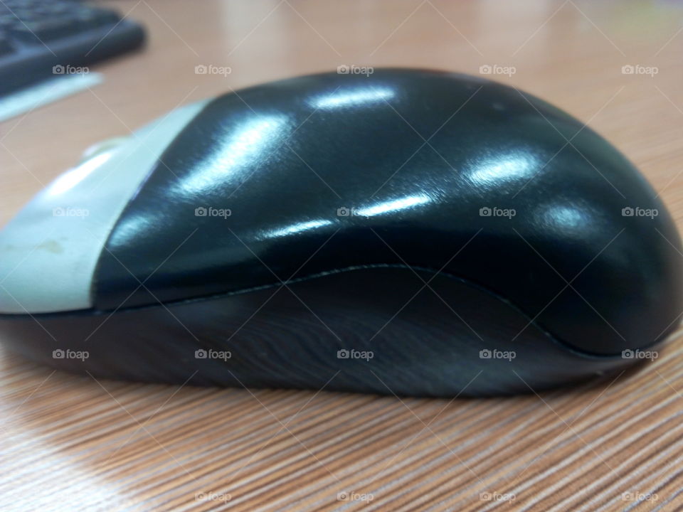 mouse. mouse for computer