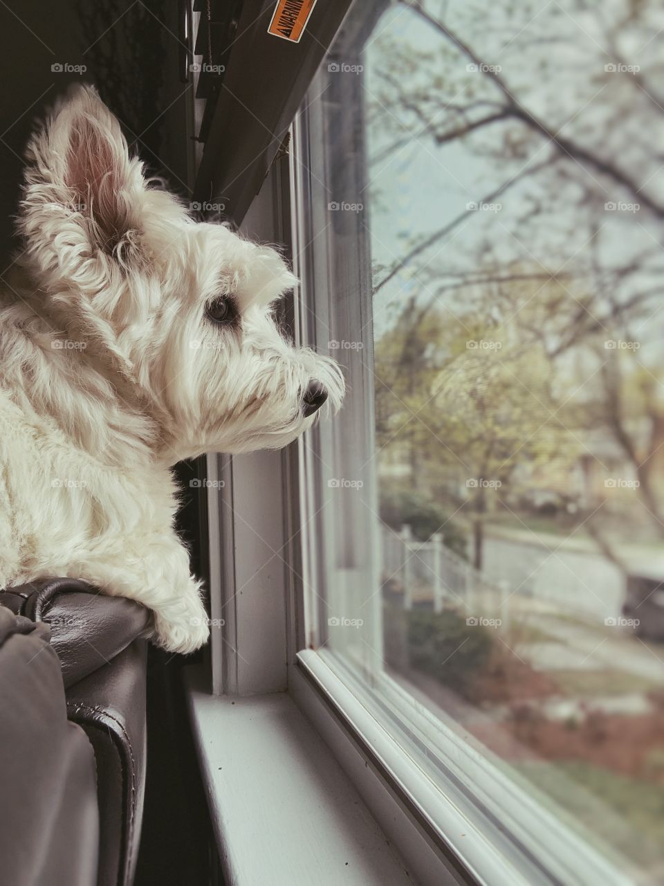 Waiting for nature heal it all