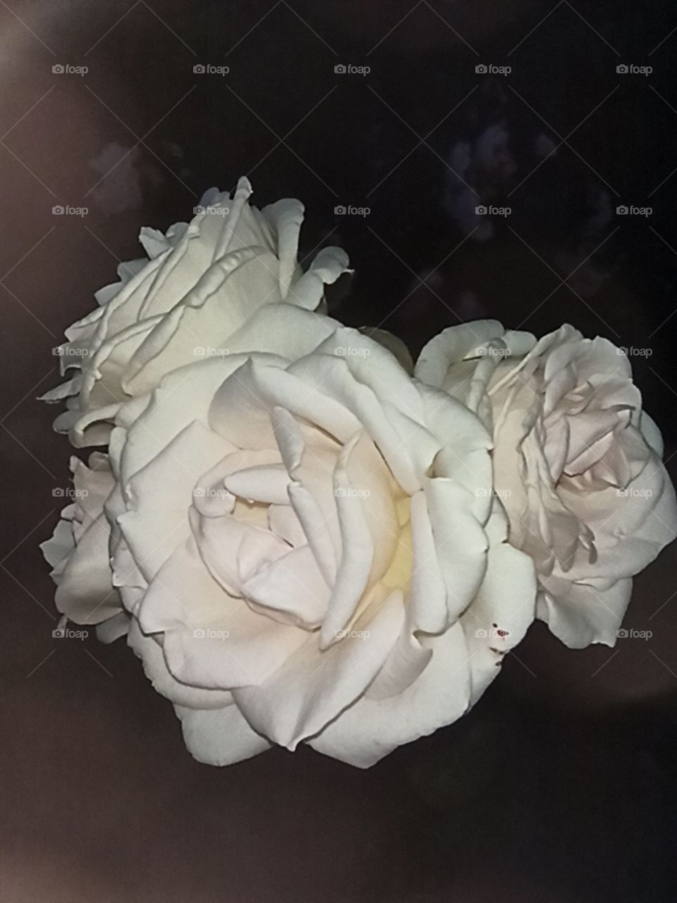 Noticed in the Crowd