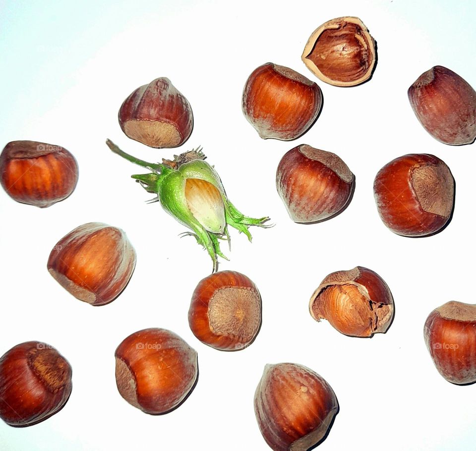 hazelnuts