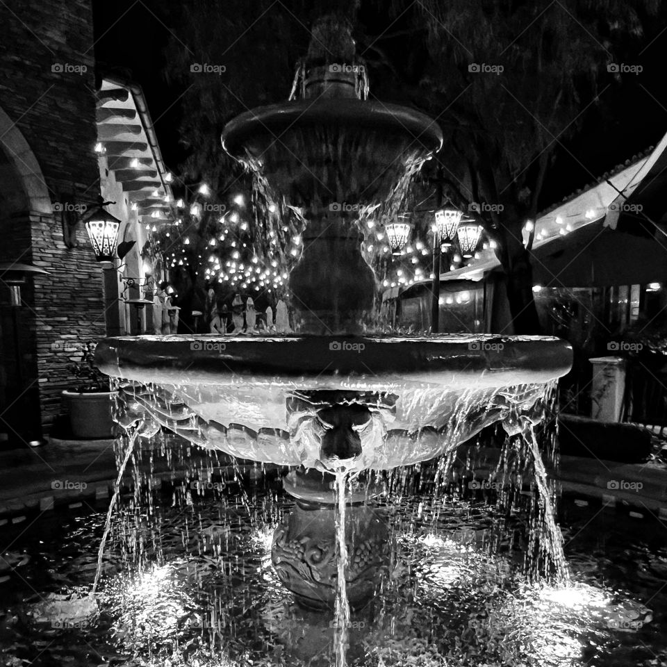 Water fountain decorated with lion faces. This was taken in the evening which showcased the lights, shadows, and water movement. Monochrome photo.