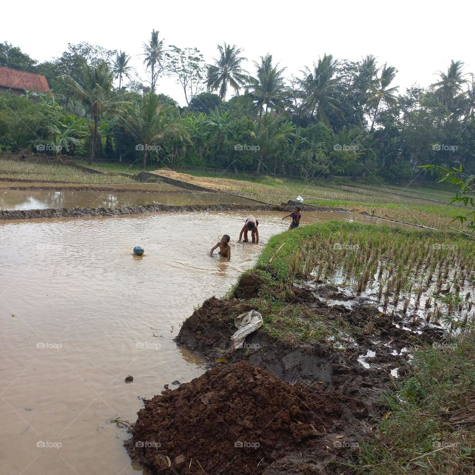 The excitement of small children playing in the rice fields