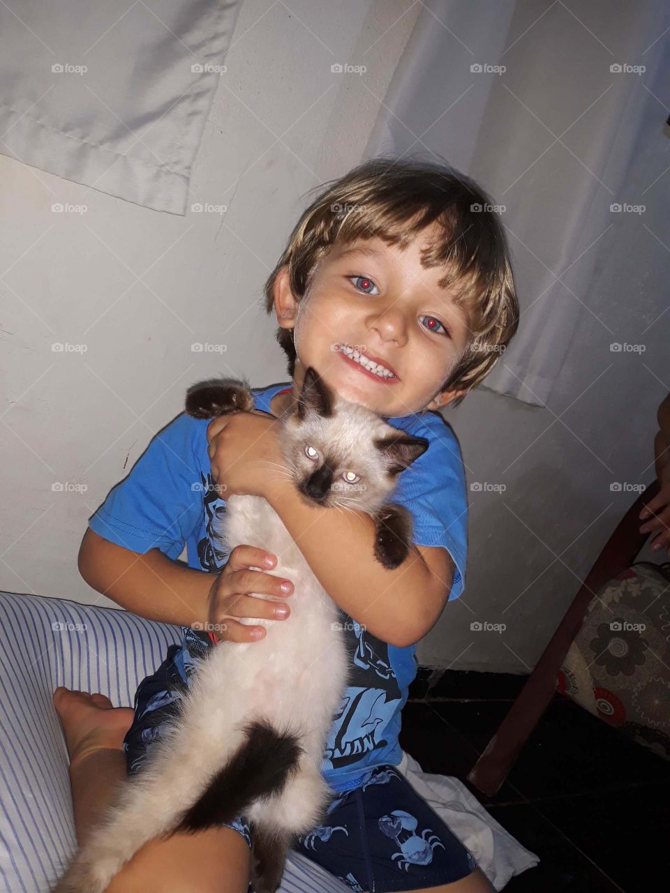 child playing with the kitten