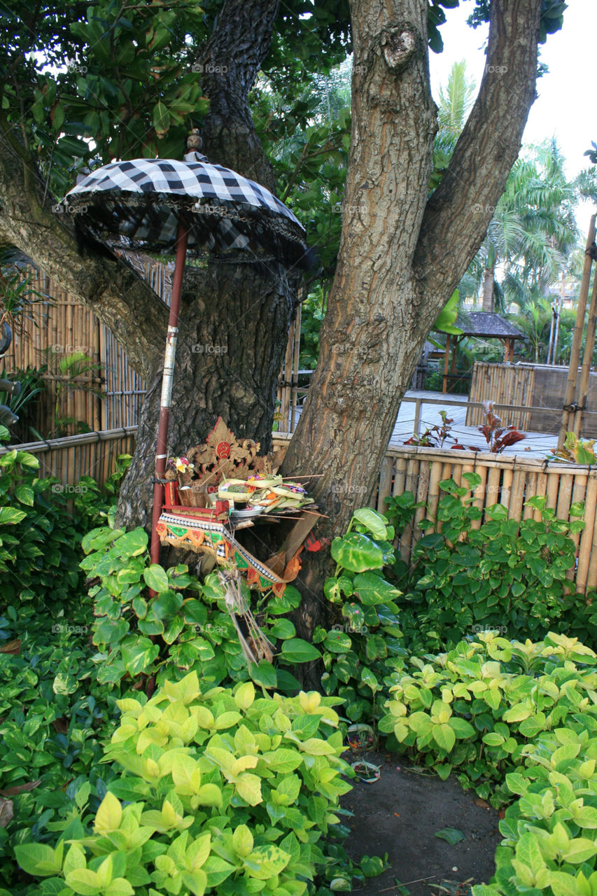 bali temple