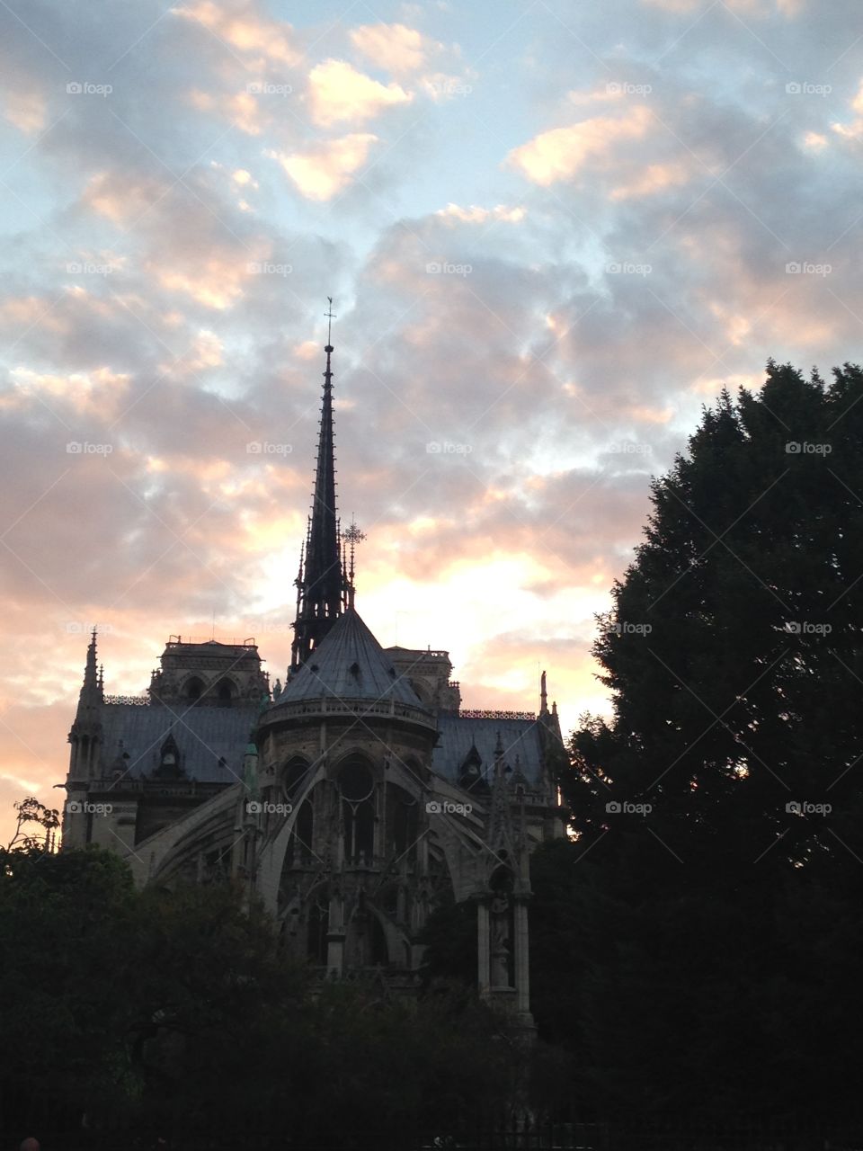 Notre Dame Sunset 