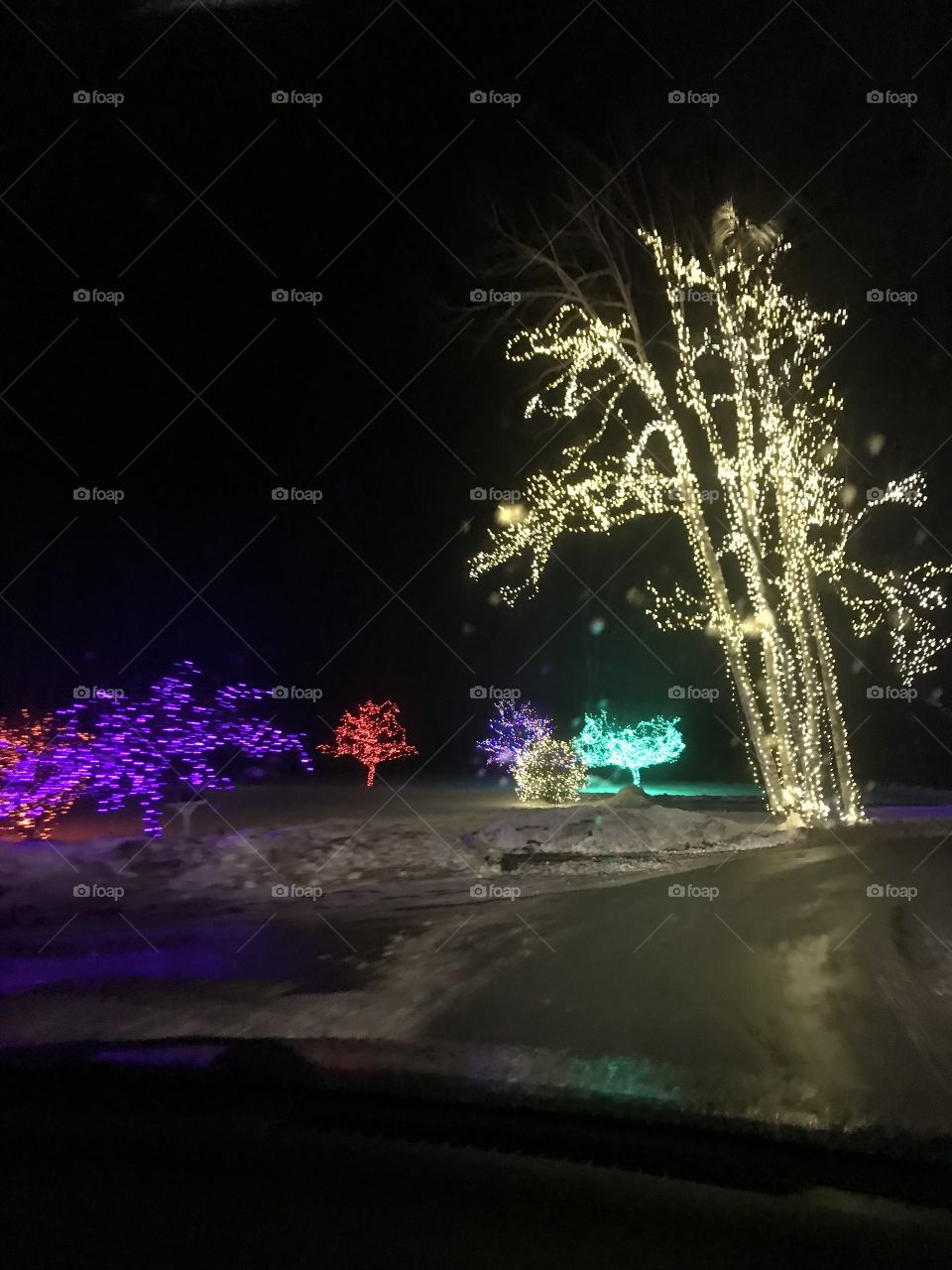 Tree lights
