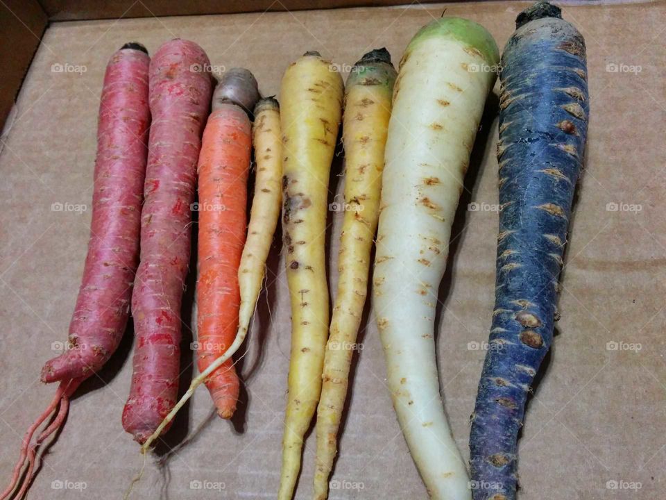 rainbow of carrots