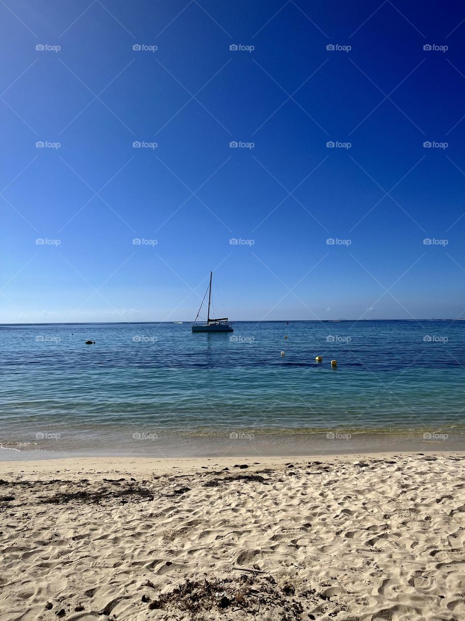 French west indies landscape 