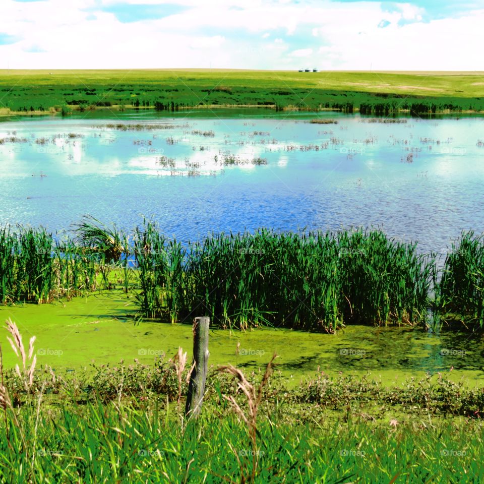 Clouds of reflection 