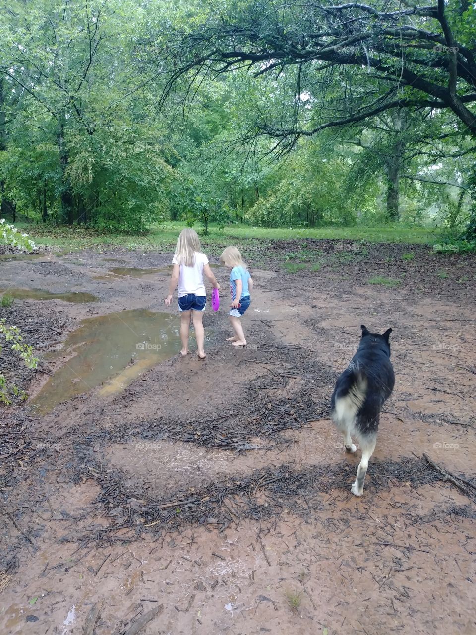 Play time in the mud puddle right after the rain.