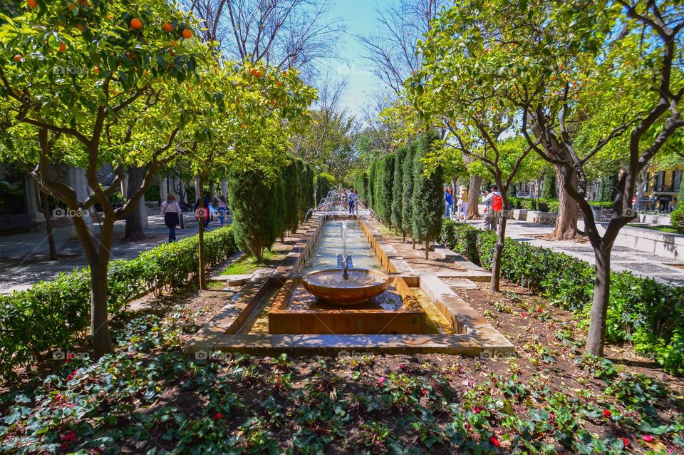 Jardines del Huerto del Rey, Palma de Mallorca (Mallorca - Spain)