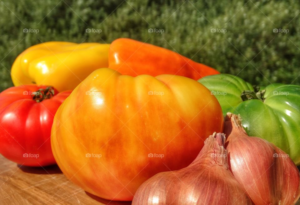 Thanksgiving Ingredients
