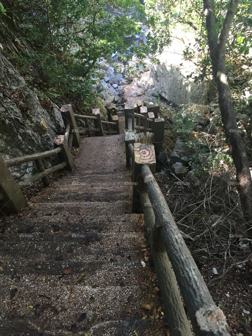 Steps leading down a hiking path in Guam