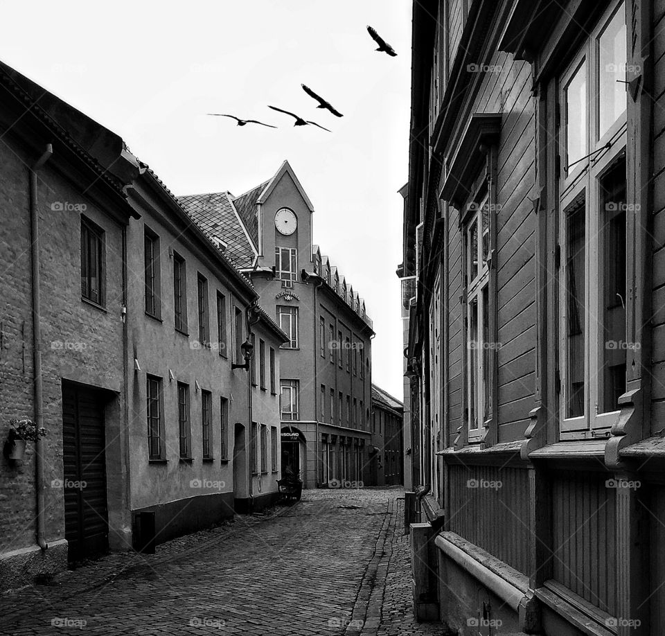 Eerie, empty street with black birds flying over a building with a handless clock face