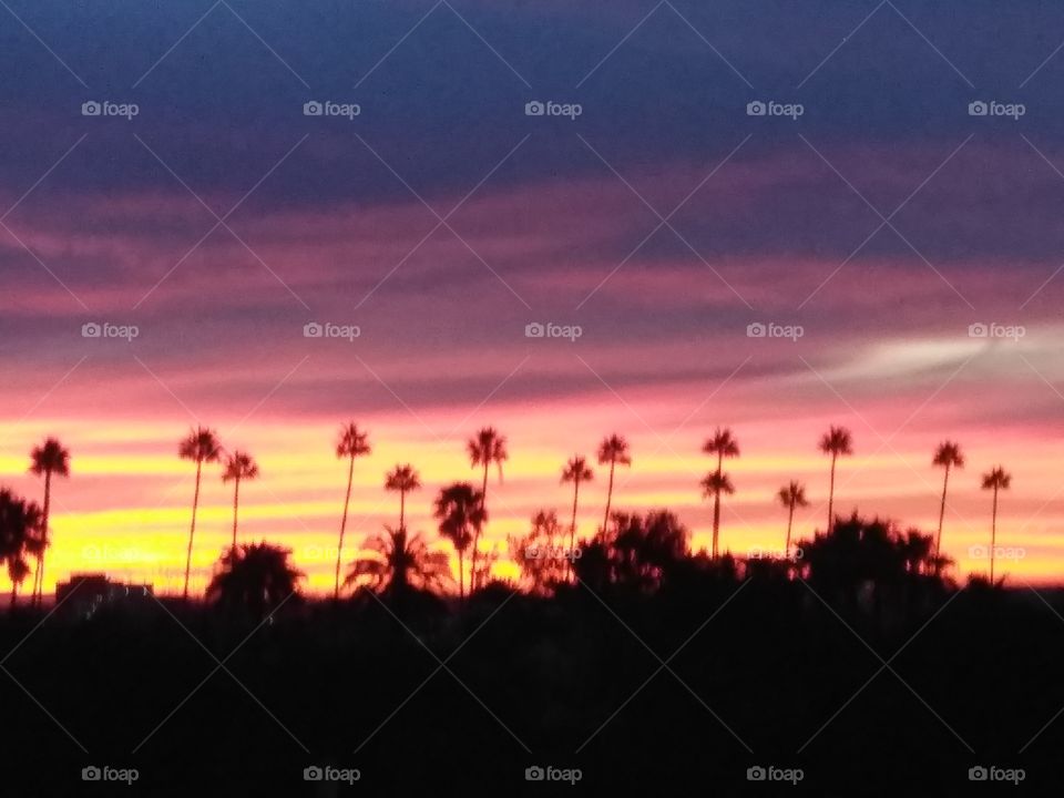 6am Sunrise In Beverly Hills