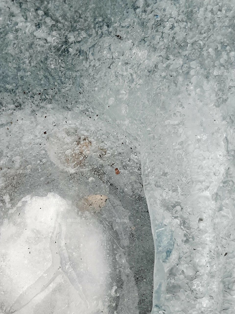 winter garden   - studium of ice  in a rainwater container