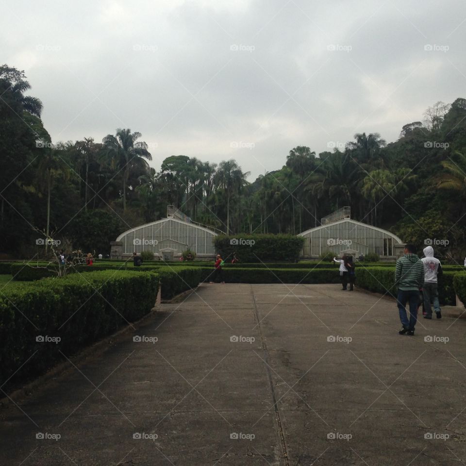 Greenhouses. Visiting São Paulo's Botanical Garden