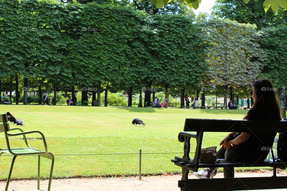 A lady is sitting in alone on a bank in a park in Paris.