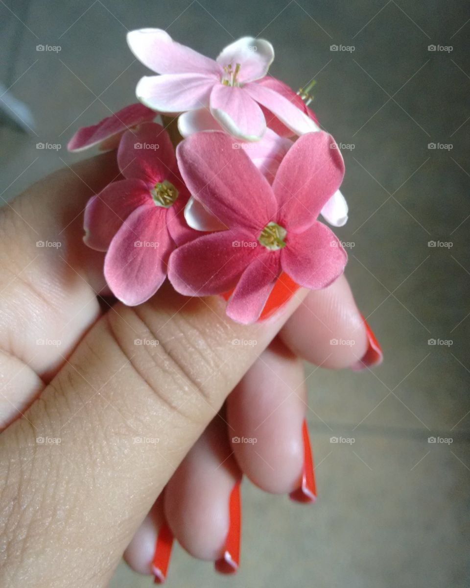 Oferecer flores, é sempre uma forma de encantar. Com simplicidade e originalidade!