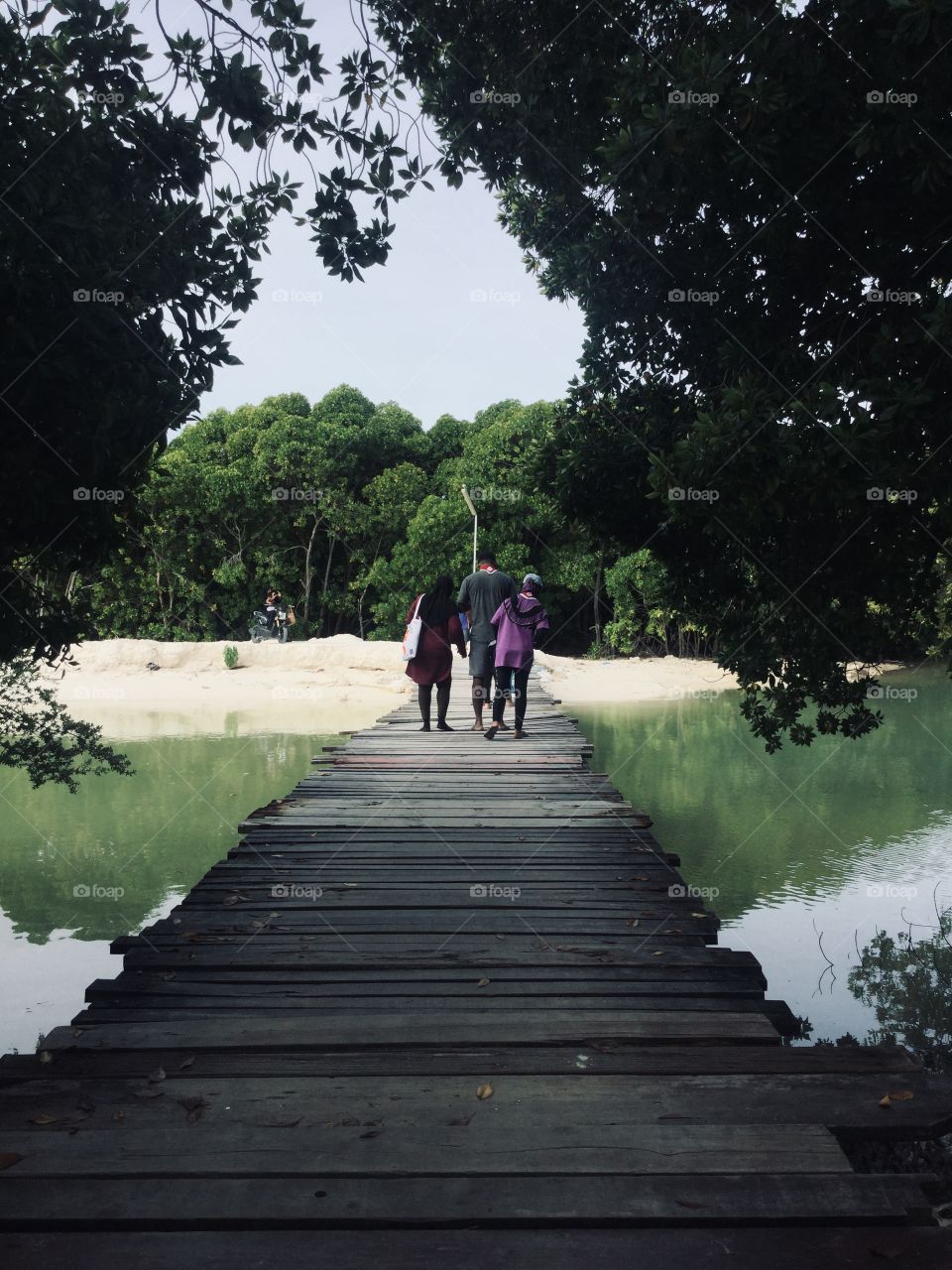 Nice plank jetty used to cross mangroves during school camps and fun activities  by locals