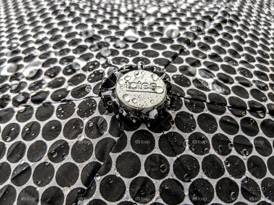 All things Fall with Totes