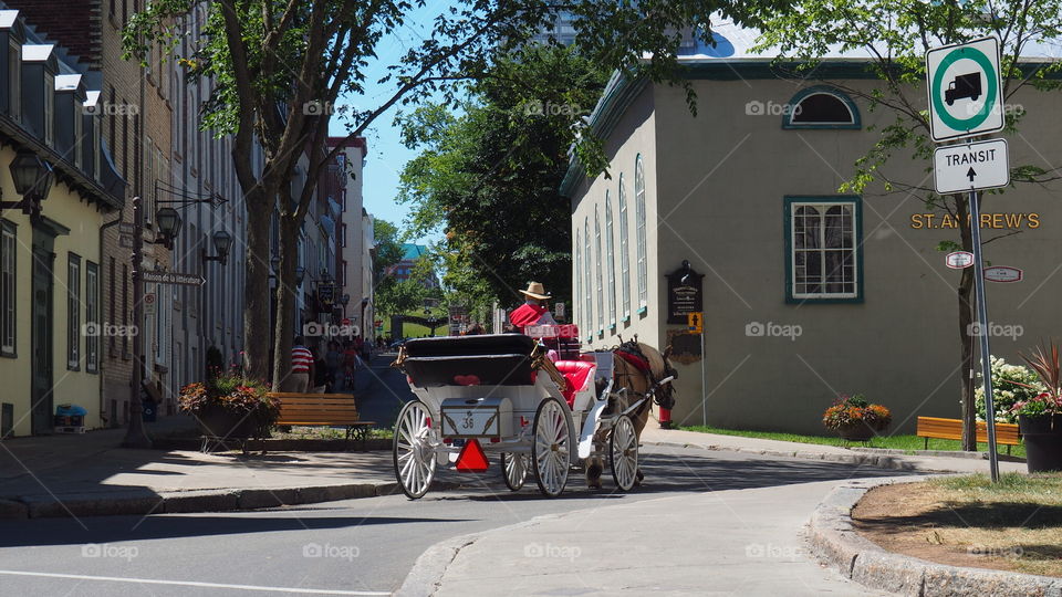 Vintage horse pulled carriage street french 