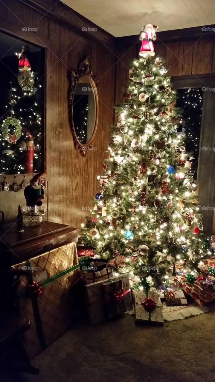 Christmas Tree Glow. Family tree at night