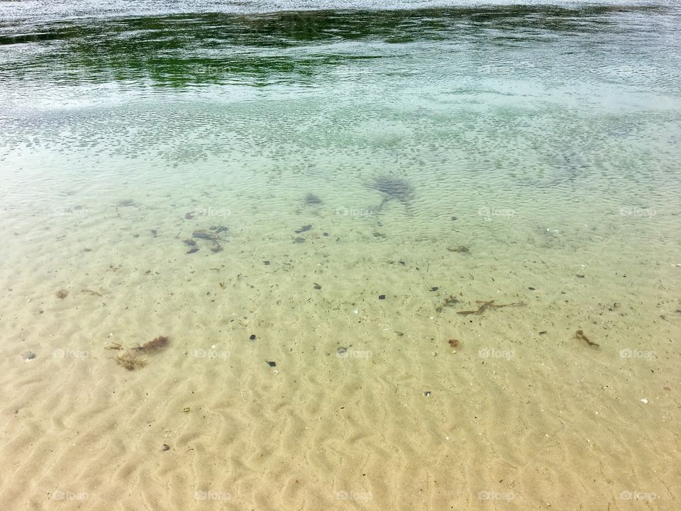 Findhorn Bay ... crystal clear water in the Highlands of Scotland ... 