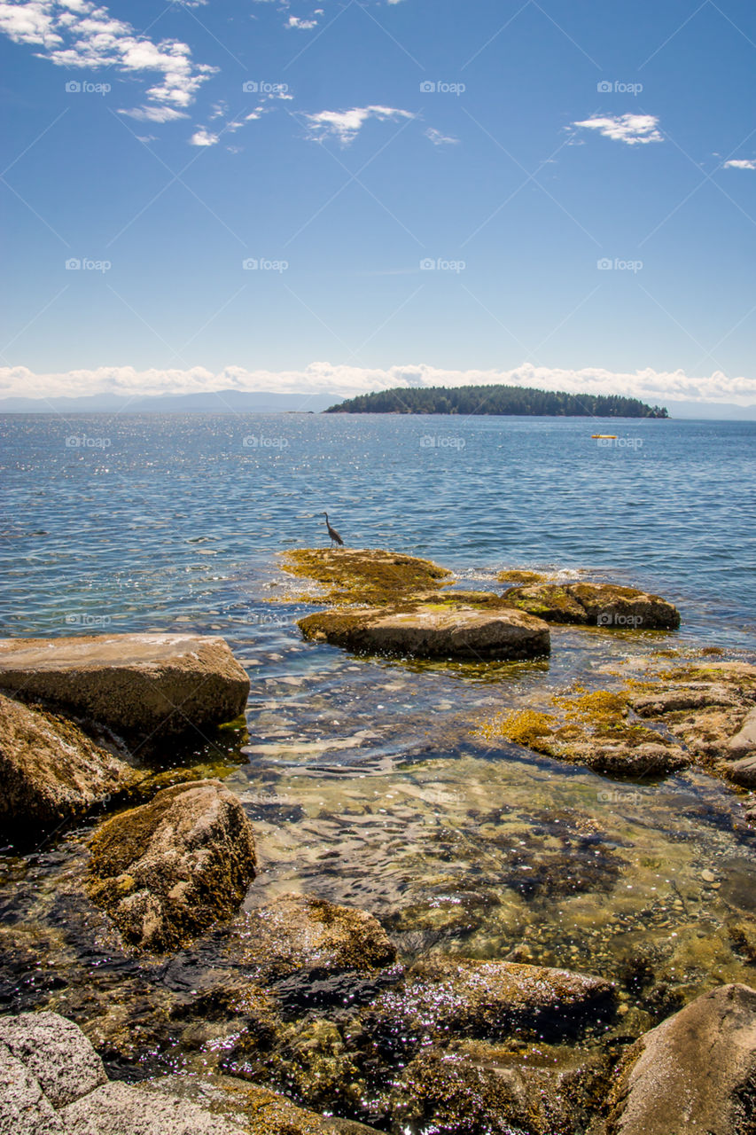 The goal is to travel and not to arrive...