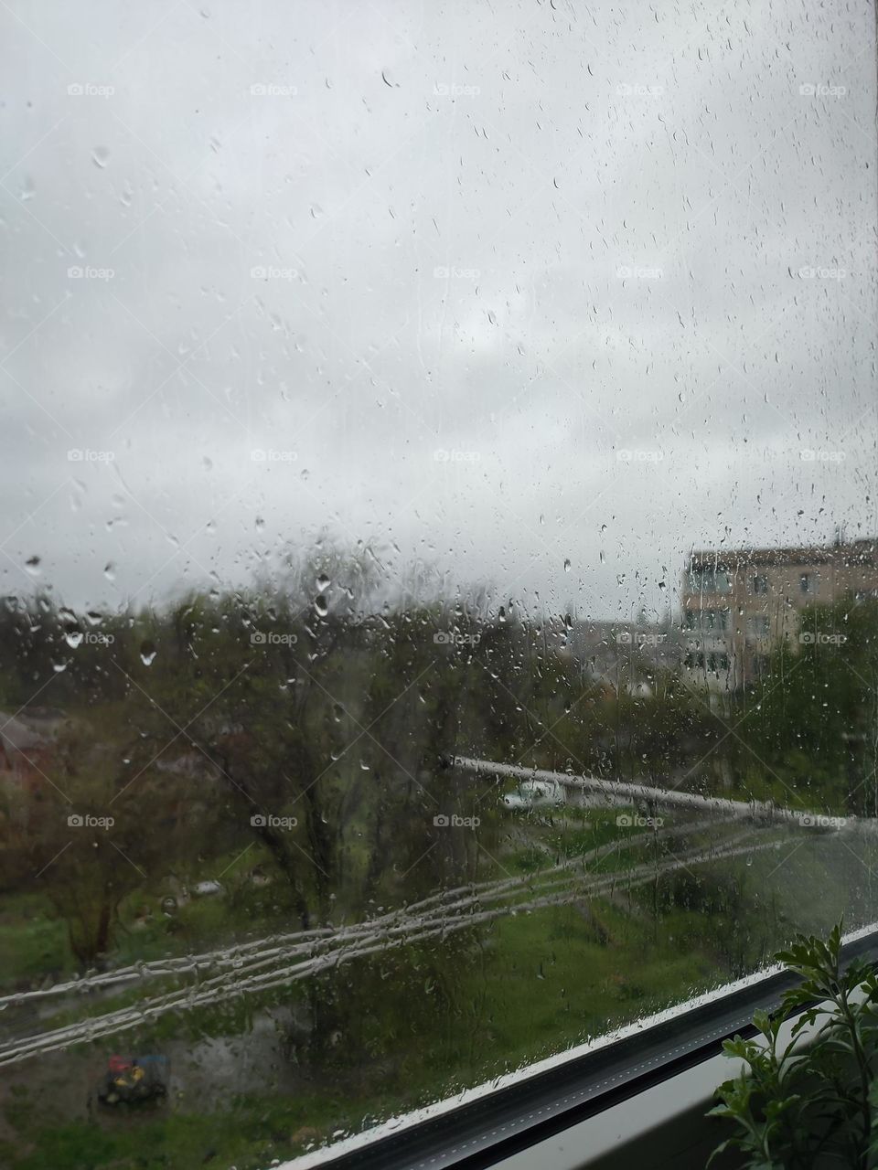 Raining day in the town, view from the window. Raindrops running on the window glass. Blurred skyline, trees, multi storey building at the background. Spring thunderstorm, gray heavy sky. View from the window, wet weather. Rain in the city. Courtyard