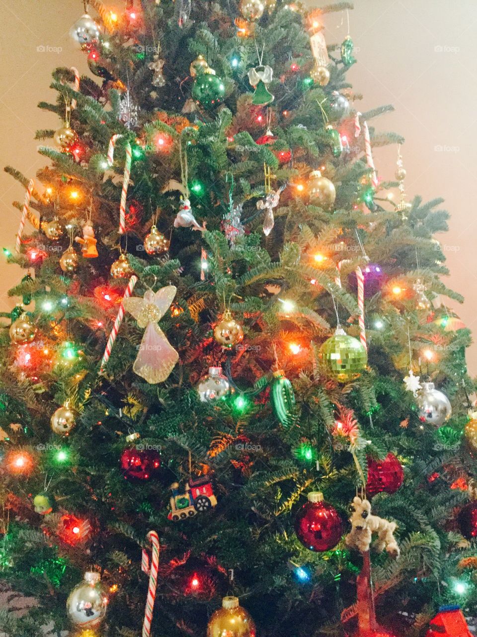 Christmas tree magic
