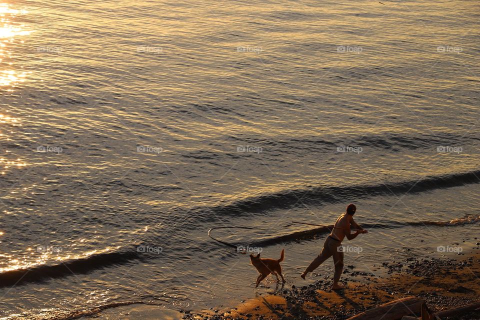 Man throwing a stick in the ocean for dog to catch it