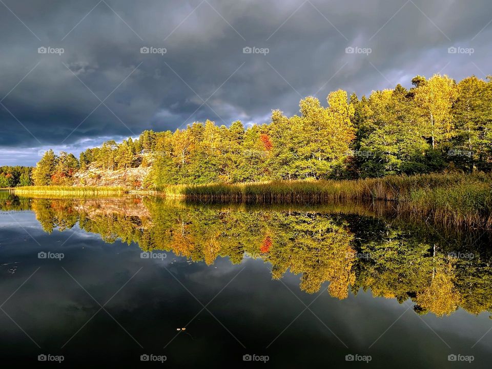 Battle: summer vs autumn : thunderstorm clouds and sunlighted forest reflection in the calm water