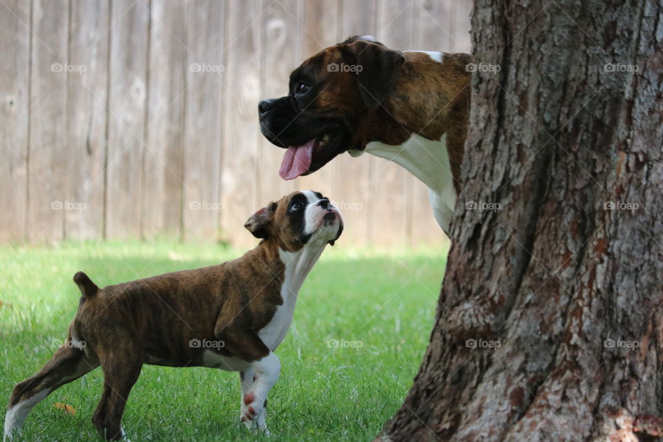 Looking up to big brother 