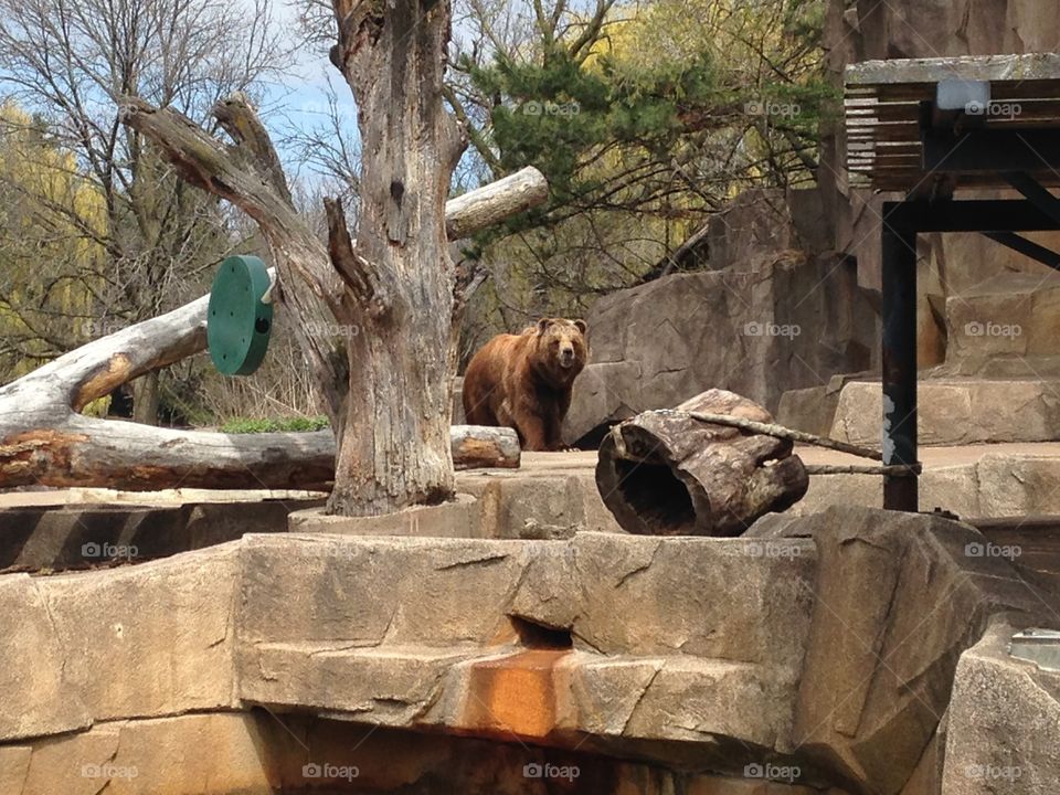 Milwaukee County Zoo