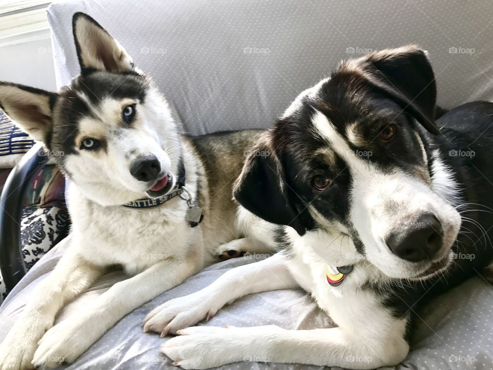 Did you just say the "W" word?! Walk??