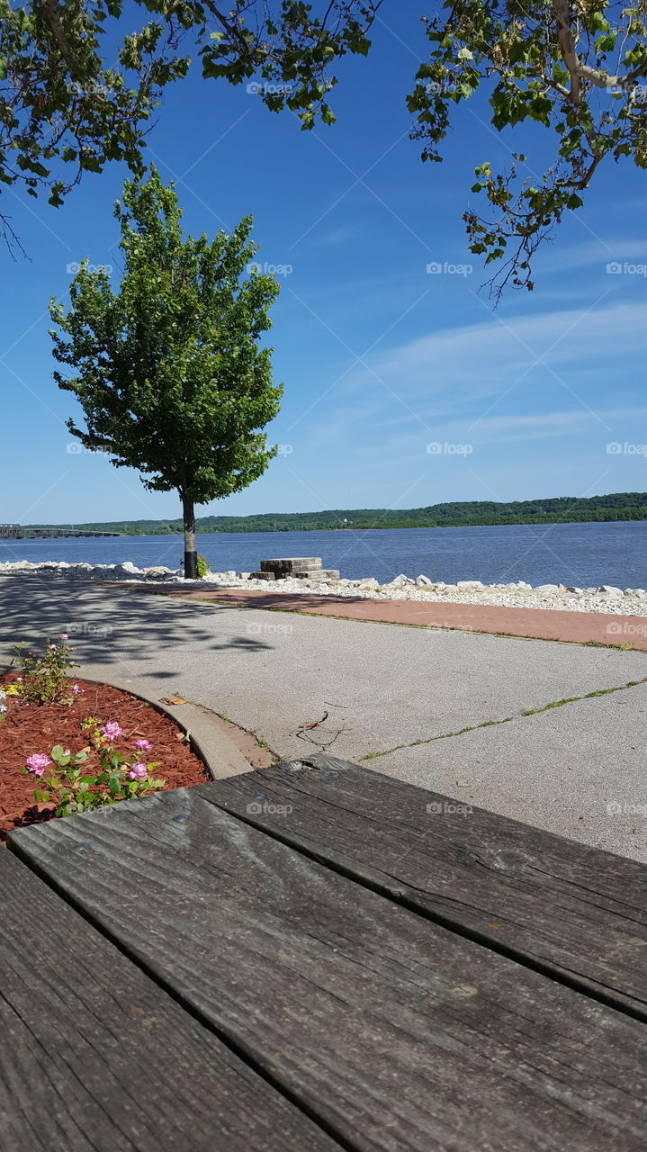 Mississippi  River  view