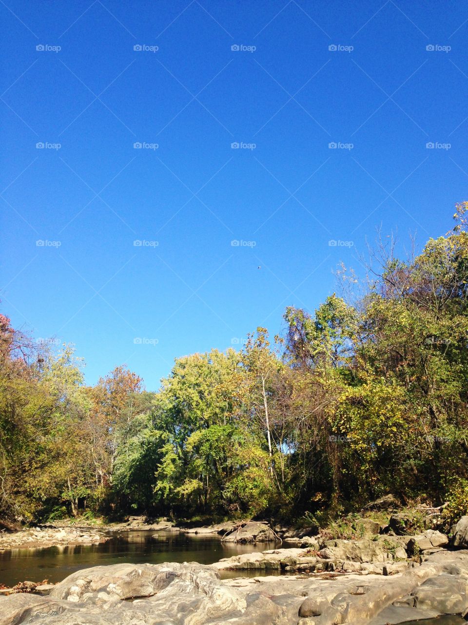 A park by the Delaware River. Taken on a wonderful afternoon stroll 