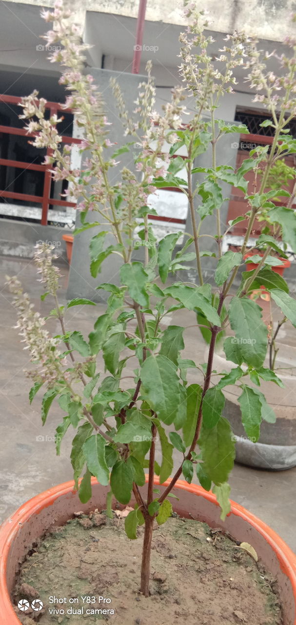 #foap #infoapartemen #foapjuly18 #foapaug18 #foapfeb18 #foapapril17 #foapers #foapjune18 #fotografoaprendiz #sfoapprentices #foaper #infoapartment #foapmission #foapmay18 #foapapr18 #foapit #infoaplikasipaytren #infoapple #foapom #foapjan19 #infoapp