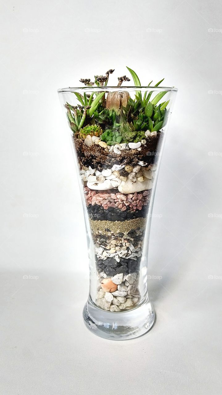 The succulent terrarium in glass vase