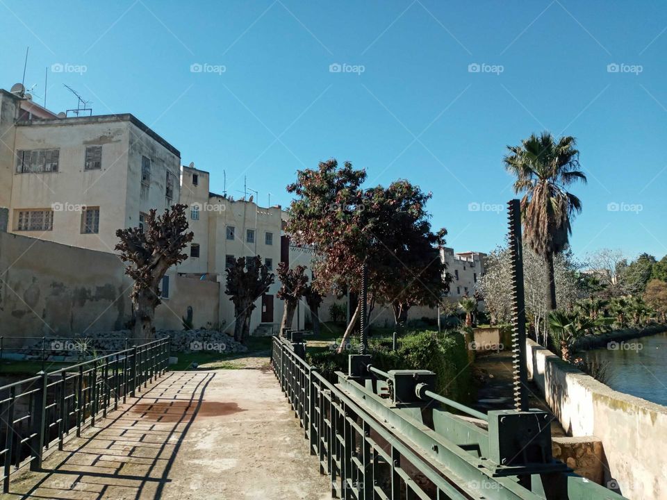 Population between the nature