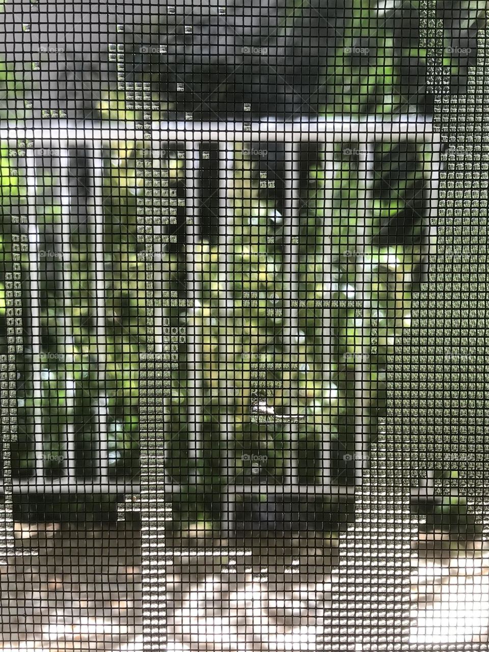 Raindrops entangled in a window net.