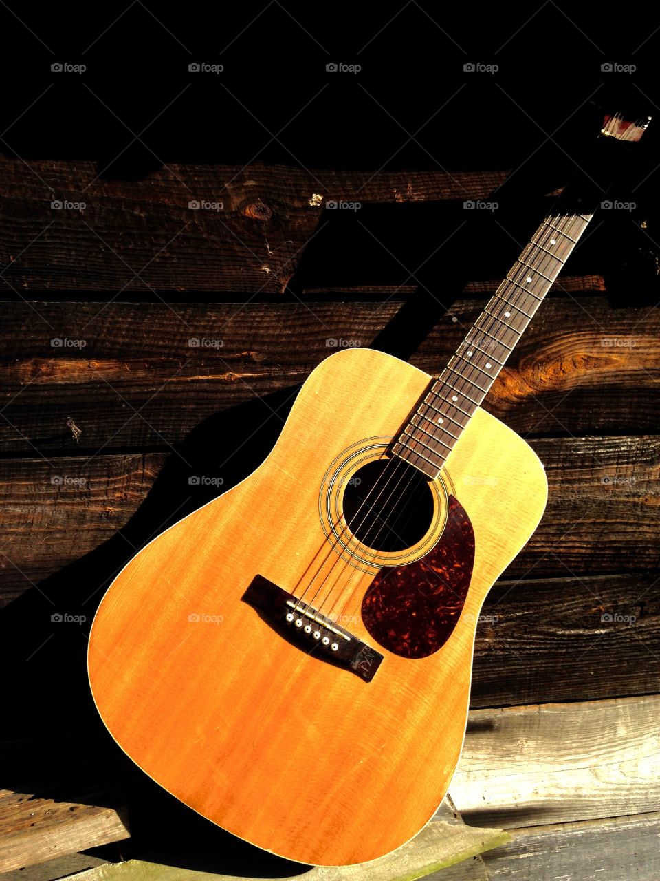 Guitar