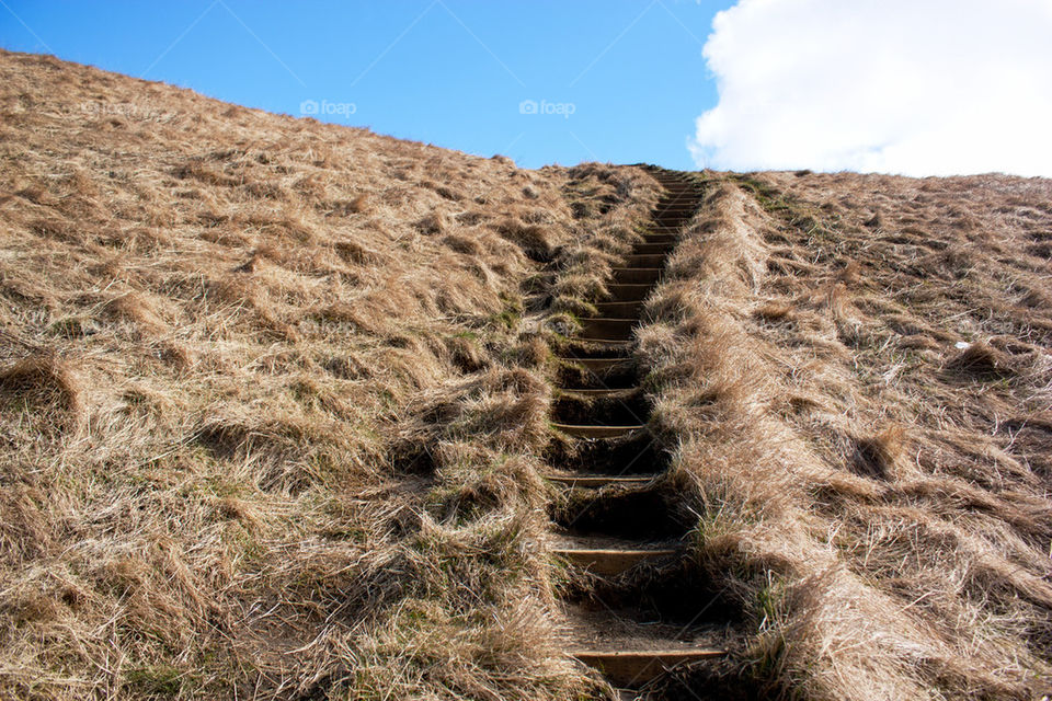 Low angle view of a staircase between the grass