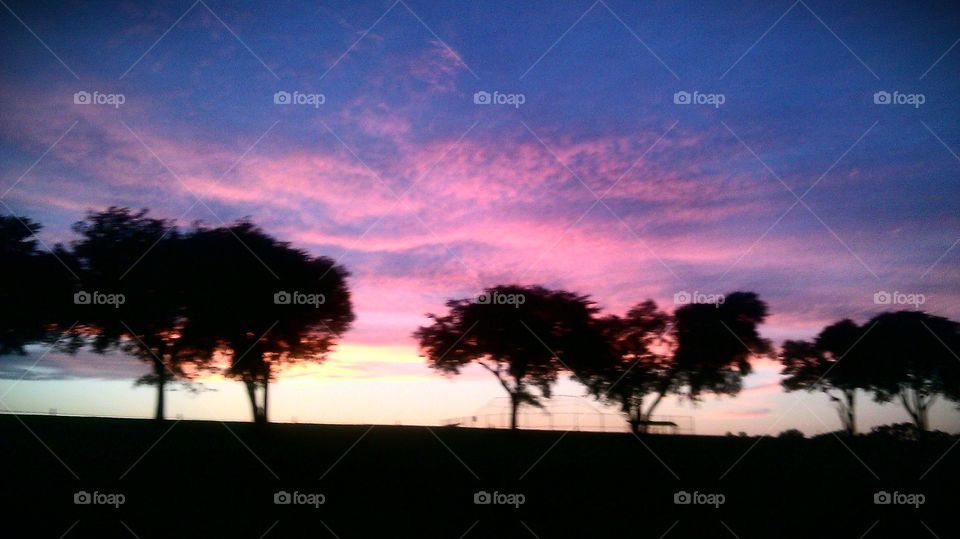 Sunset, Dawn, Silhouette, Backlit, Evening