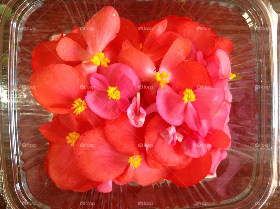 Edible Flowers - a box of begonias.