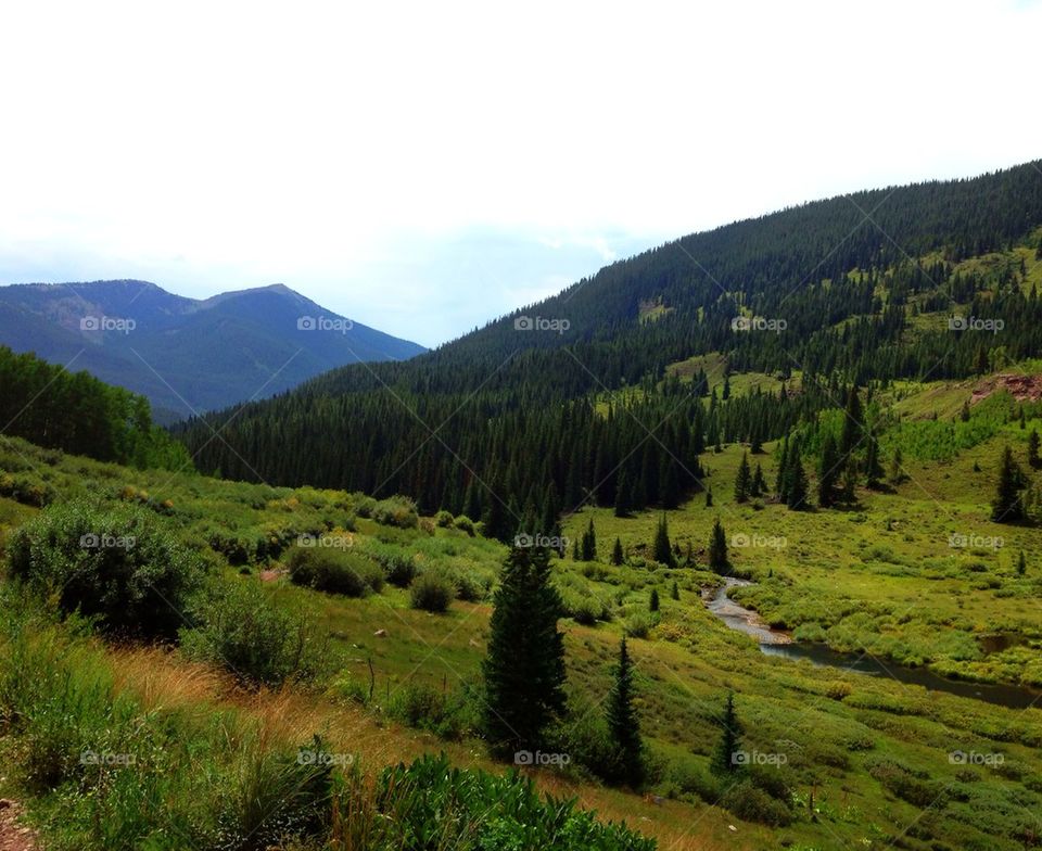 Fly fishing stream in Crested Butte