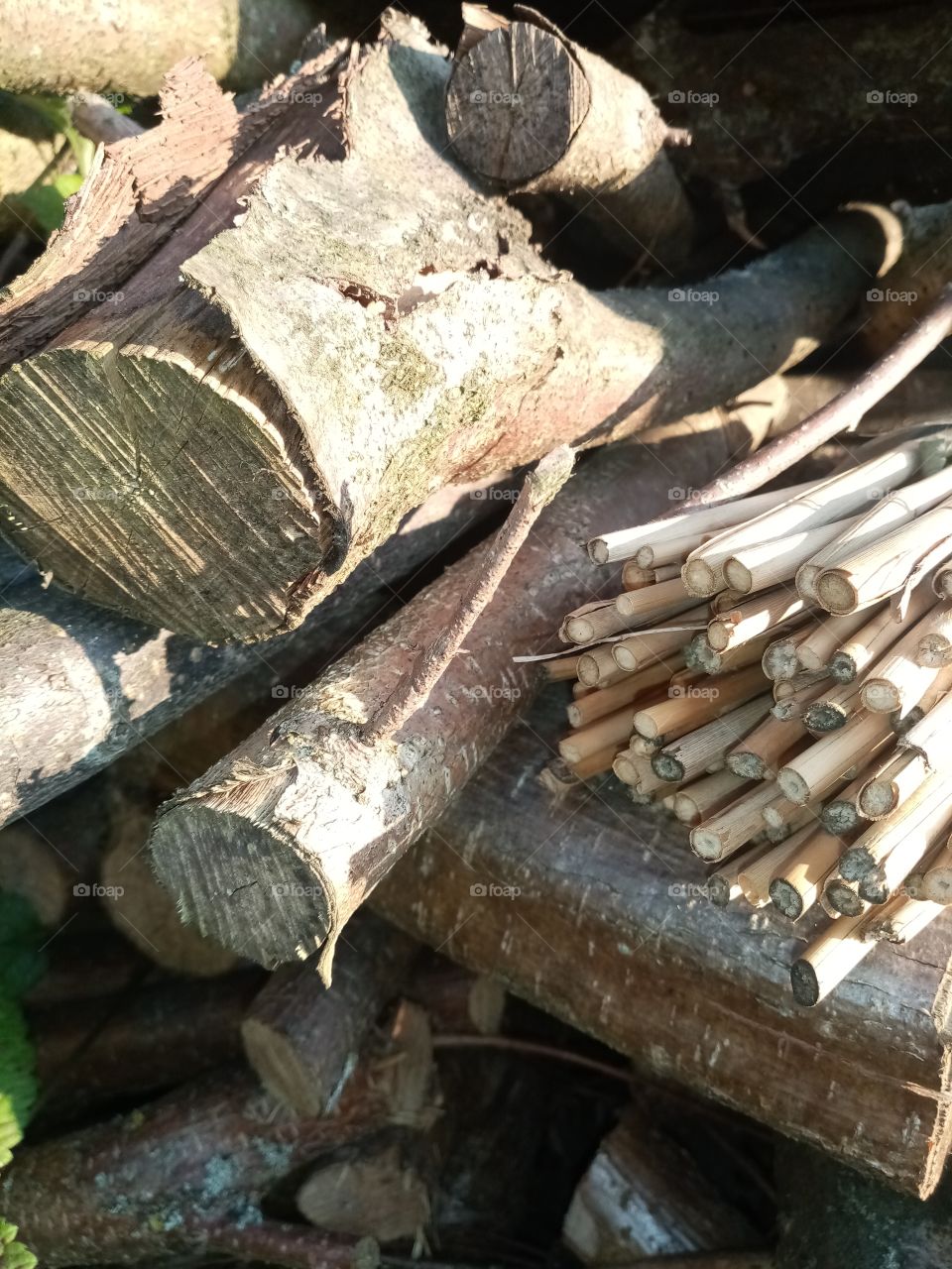 Permacultural garden