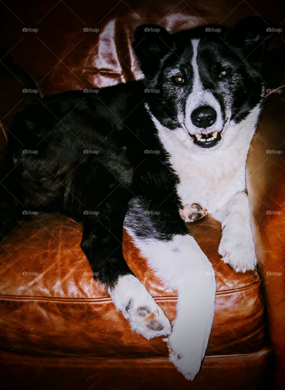 Old man in his armchair