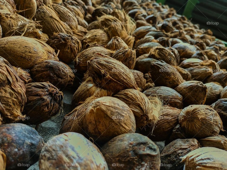 Areca nut or betel nut is dried to be sold in the market